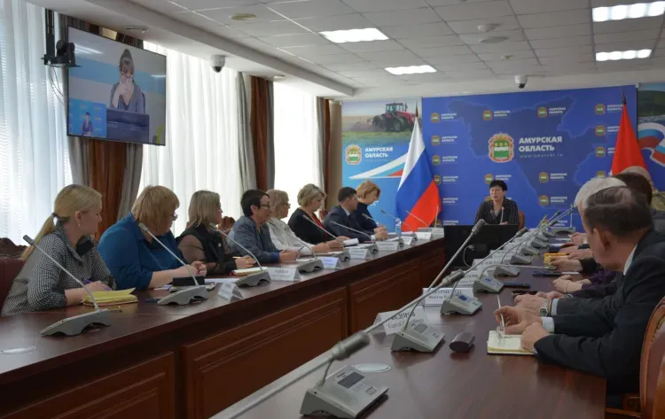 Частные дома адаптируют для участников СВО из Приамурья