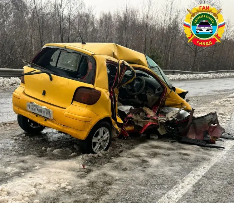 10 человек, включая детей, пострадали в ДТП на трассах Амурской области