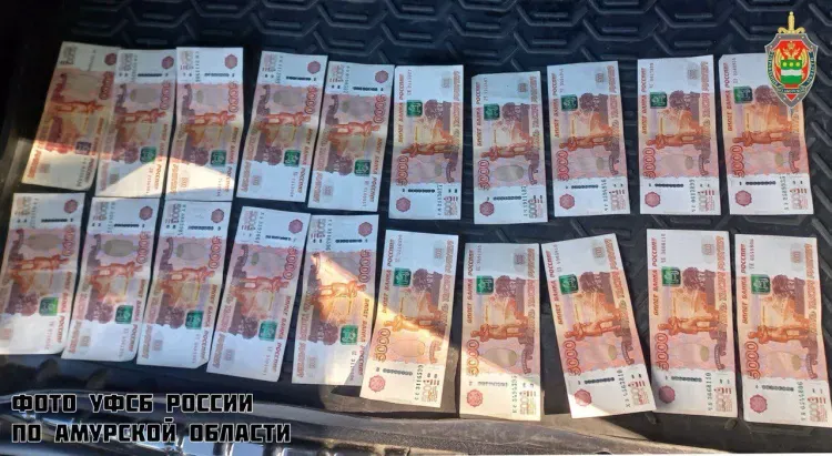 Бизнесмена пытался обмануть амурчанин, выдумав связи с ФСБ