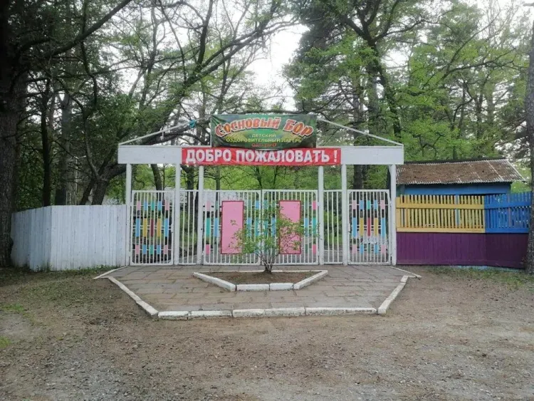 Более 3,3 тысяч юных жителей Забайкалья и Приамурья отдохнут и поправят здоровье в детских оздоровительных лагерях ЗабЖД