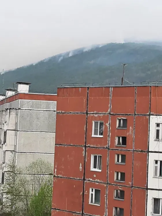 Лес рядом с северным поселком загорелся из-за сухой грозы