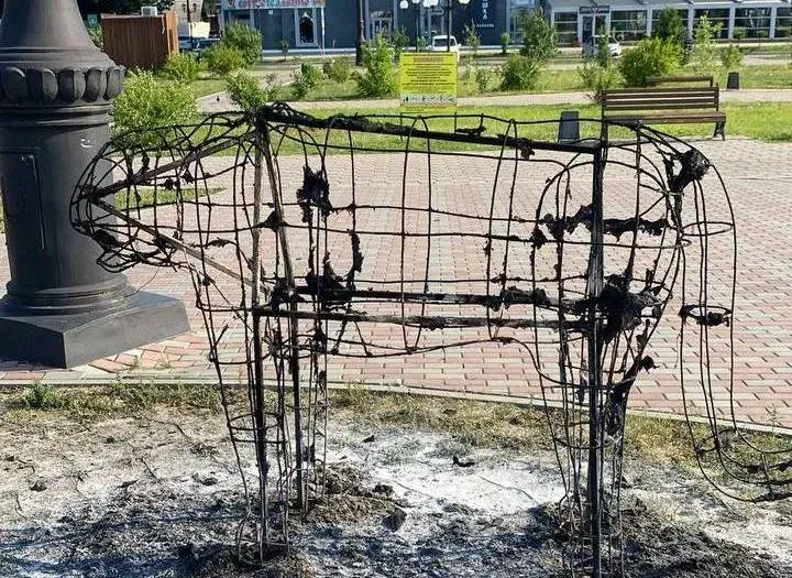 Полиция задержала возможного вандала-поджигателя в Благовещенске