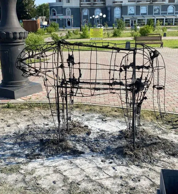 Уголовное дело после поджога тигра завели в Благовещенске