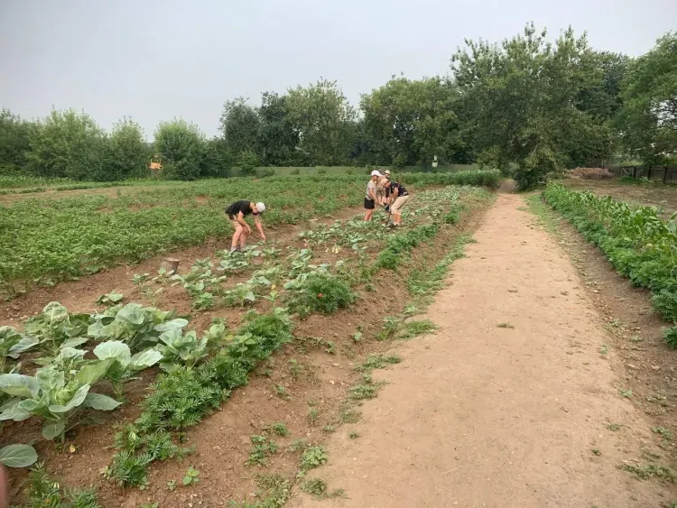 Овощеводами и мастерами стали на каникулах амурские школьники