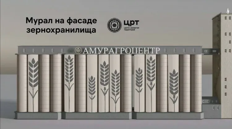 Мурал появился на фасаде зернохранилища в Благовещенске