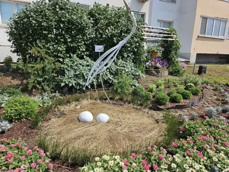 Любовь и мир: главные ценности "расцветают" во дворах Благовещенска