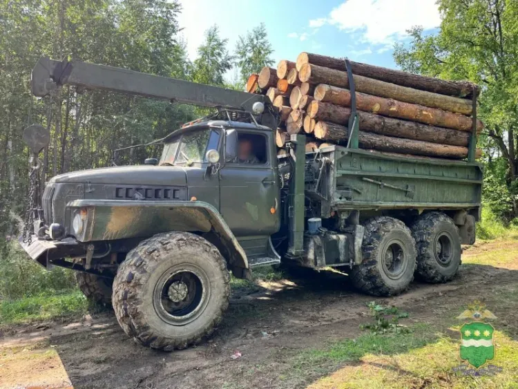 Спилено больше 90 деревьев: с поличным задержаны амурчане, подозреваемые в незаконной рубке