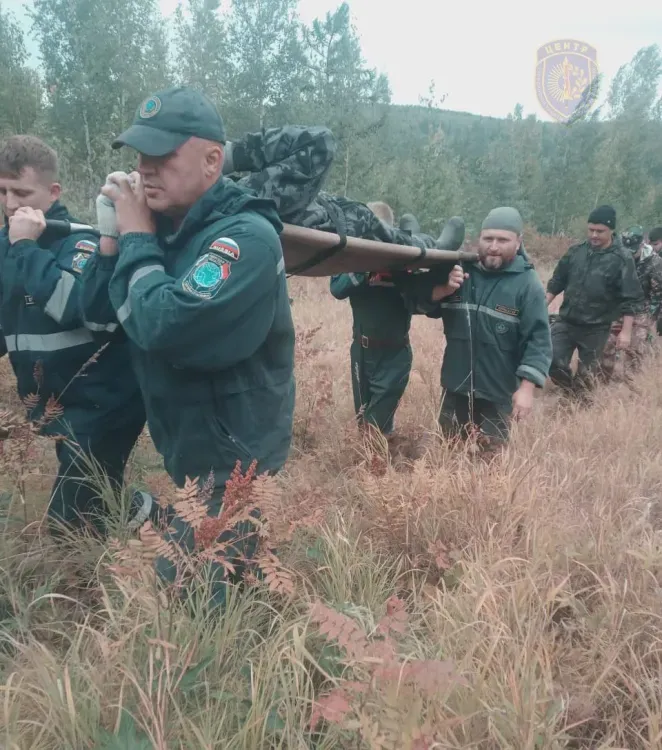 На носилках вынесли из леса мужчину, собиравшего ягоды