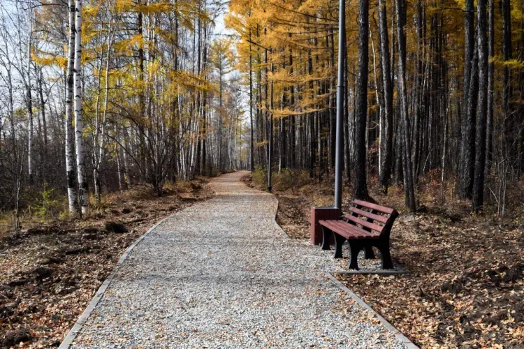 Пешеходная "Зеленая миля" появилась на берегу реки в Тынде