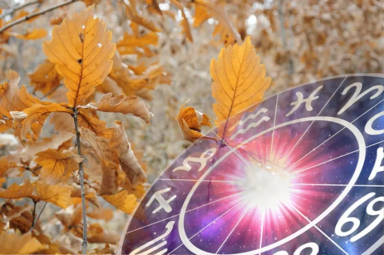 Новые знакомства захочется завести Скорпионам 4 октября