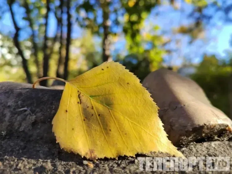 Воздух прогреется до +20 градусов в Амурской области, но возможен снег с дождем