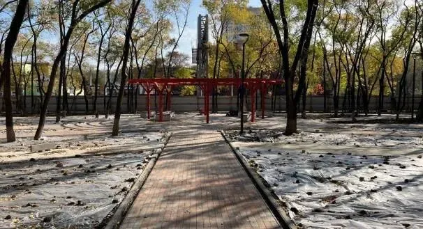 Открытие сквера в Благовещенске сдвинулось из-за краж