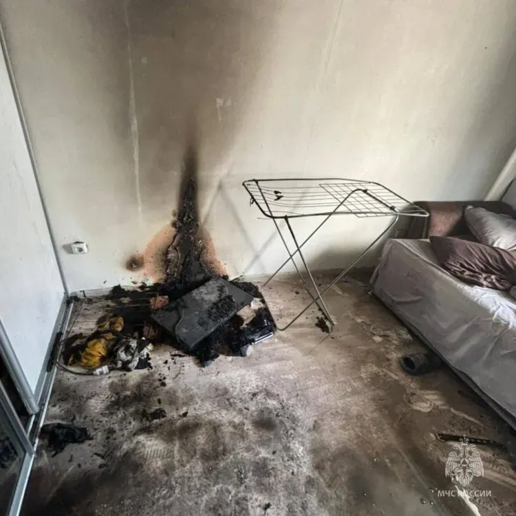 Кошка погибла при пожаре из-за беспечности хозяйки