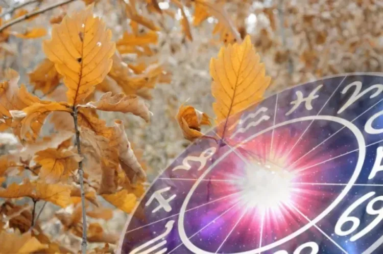 Удачные сделки и сюрпризы ждут Близнецов на неделе с 14 октября