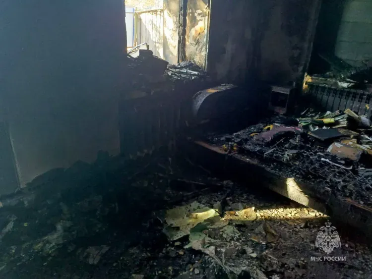 Родители и маленькая дочь пострадали на пожаре в Амурской области