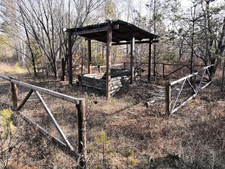 Брошенные скотомогильники уничтожили в Благовещенском округе