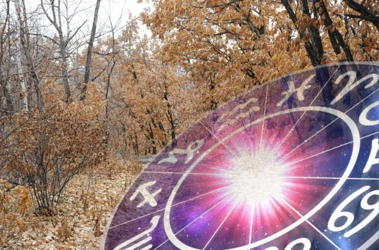 Не надо поддаваться искушениям Стрельцам 10 ноября