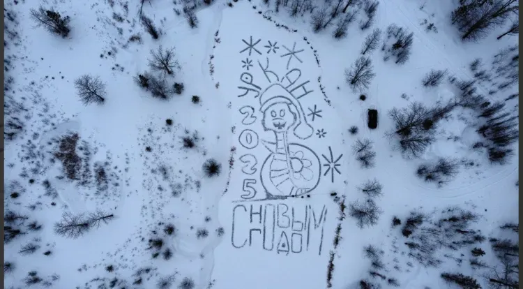 Змею нарисовали на льду на севере Амурской области