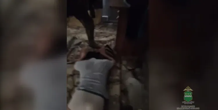 Нелегальное пребывание в России иностранцев обеспечивали трое ранее судимых жителей Благовещенска