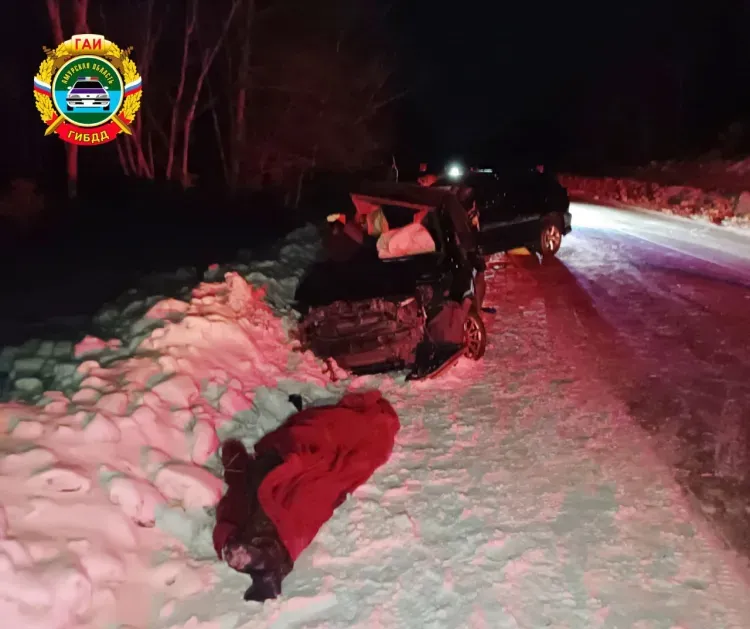 Лобовое ДТП в Амурской области унесло жизни двух человек