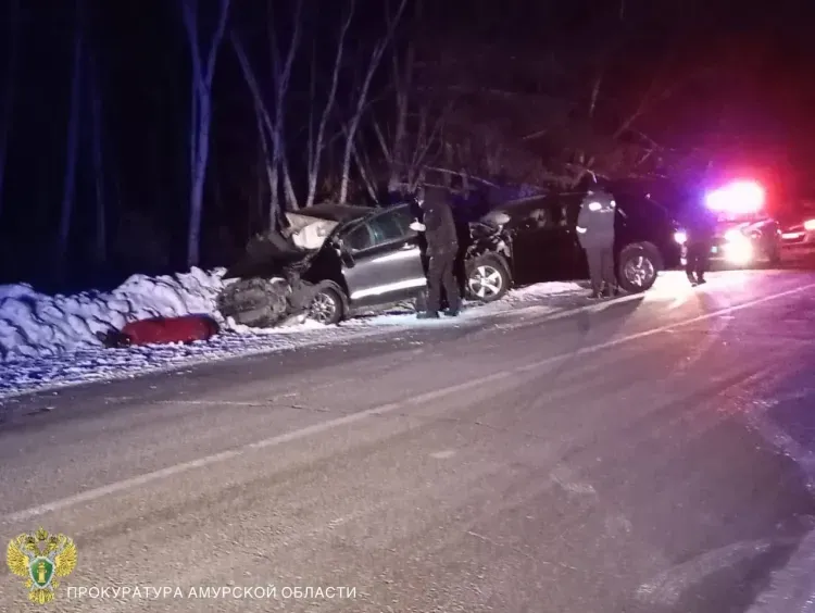 Прокуратура контролирует проверку по ДТП с двумя погибшими в Свободненском районе