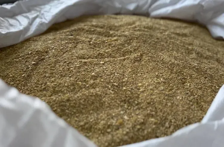 Амурская область накормит монгольских животных