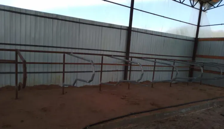 Мини-ферму открыл амурчанин после возвращения с СВО