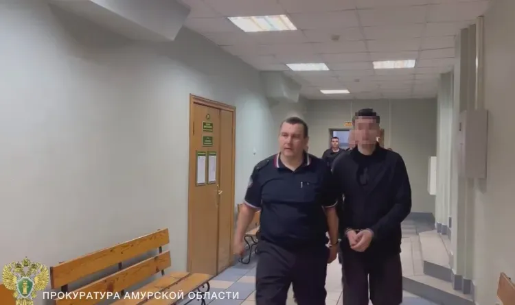 Житель Благовещенска устроился в полицию и совершил два преступления