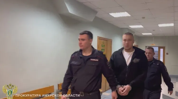 Житель Благовещенска устроился в полицию и совершил два преступления