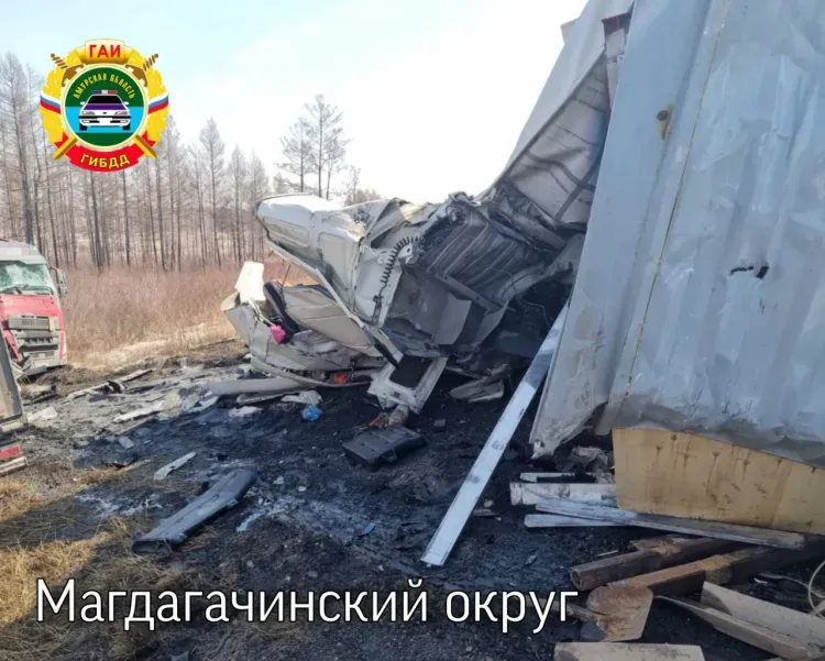 Трагическая полоса: новые подробности ДТП с тягачами сообщили в Приамурье