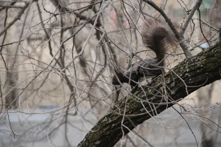 Циклон начнет покидать Амурскую область 14 апреля