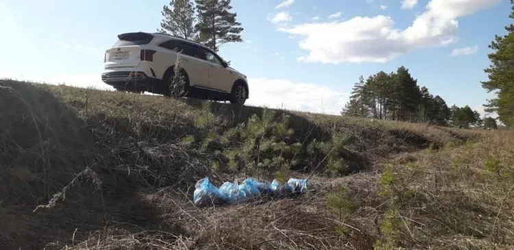 Деревьями решил незаконно разжиться копатель из Приамурья