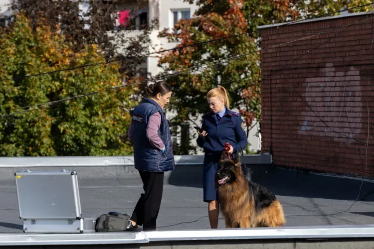 Майор СК с непростой "напарницей" ищет свою любовь: новый детектив покажут россиянам