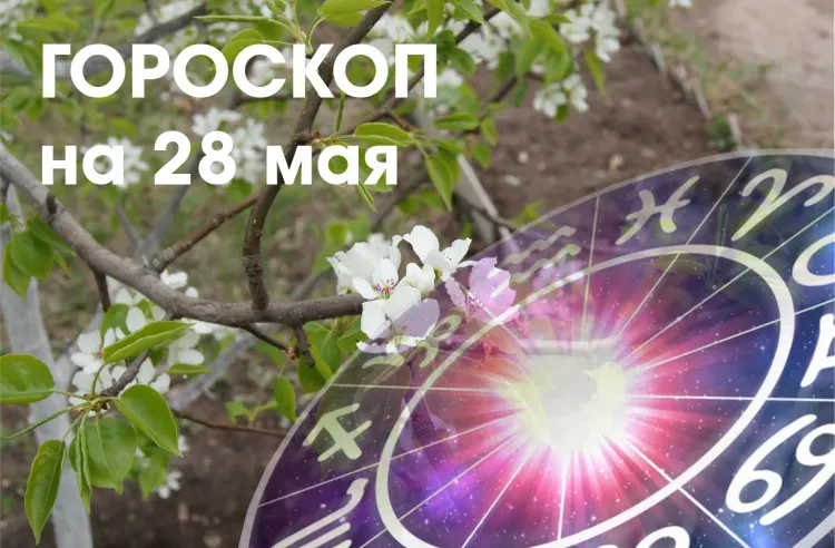 Креативный потенциал повысится у Стрельцов 28 мая