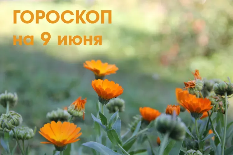 Для решения задач потребуется применить физическую силу Рыбам 9 июня