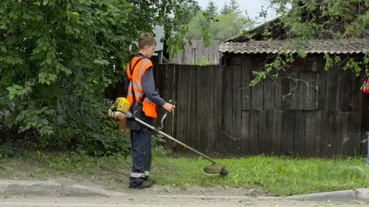 Мэр Белогорска раскритиковал ситуацию с покосом травы в городе