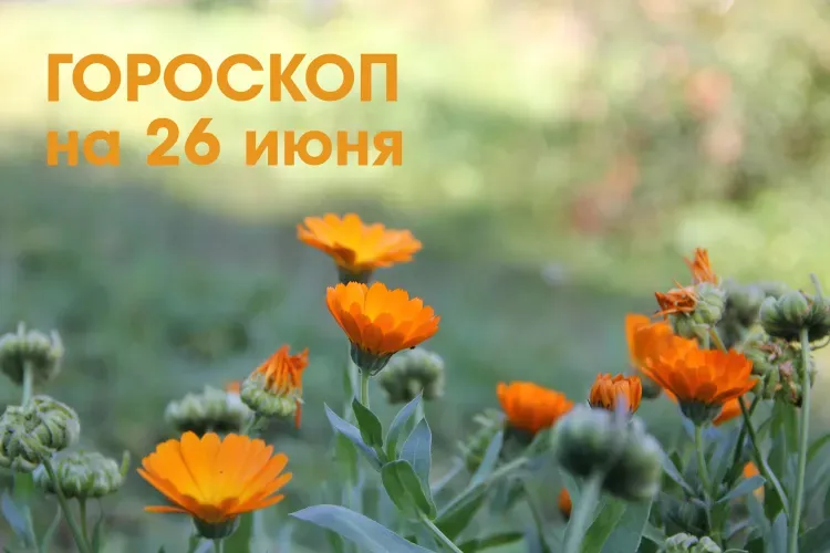 Отказаться от встреч с неприятными людьми желательно Девам 26 июня