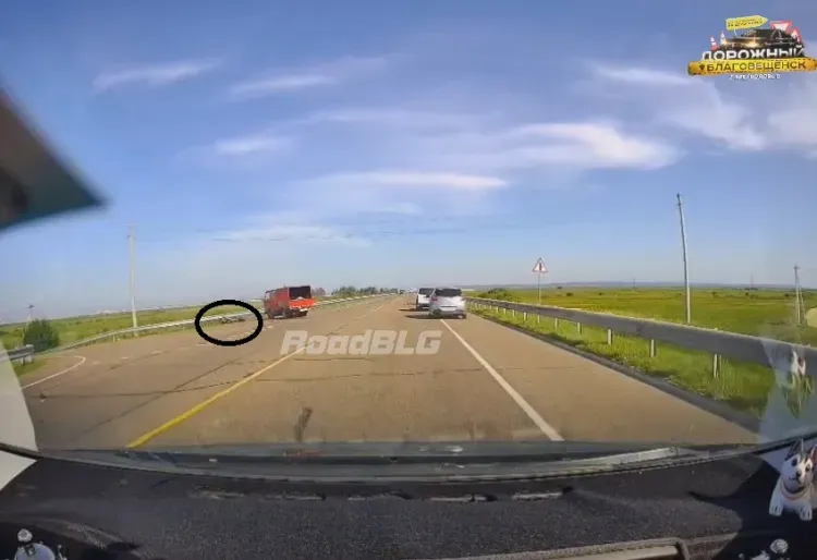 На видео попали последние секунды жизни мотоциклиста