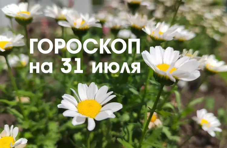 Решить чужой спор помогут Раки 31 июля