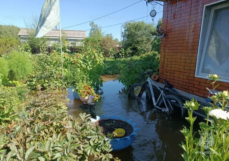 Паводок зашел в дома и дворы жителей Селемджинского района