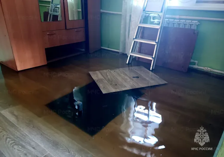 Паводок зашел в дома и дворы жителей Селемджинского района