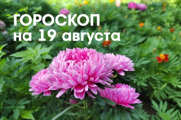 Саморазвитием и обучением могут заняться Овны 19 августа