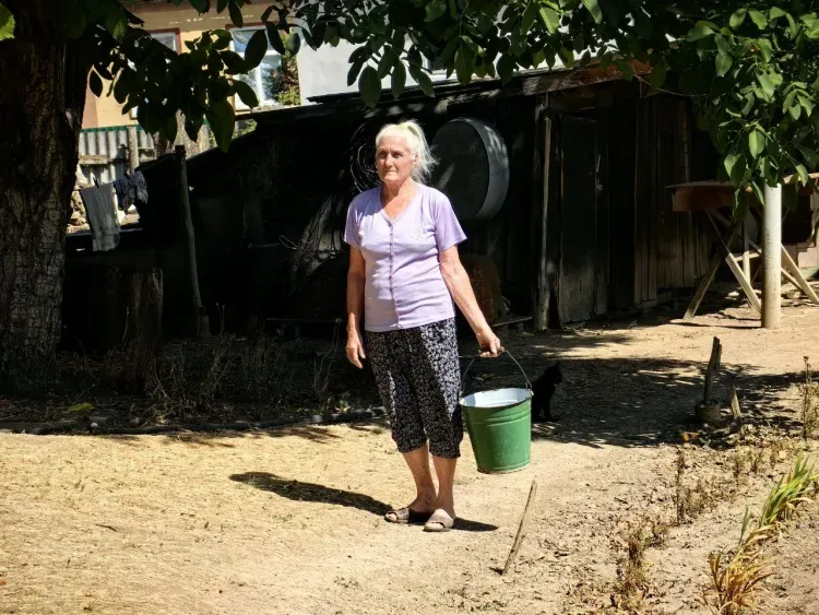 Выжженная пустыня: в ДНР столкнулись с низким урожаем из-за засухи
