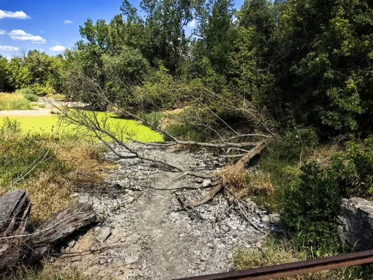 Выжженная пустыня: в ДНР столкнулись с низким урожаем из-за засухи
