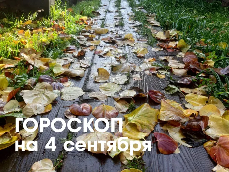Благоприятный момент для смелых начинаний у Дев 4 сентября