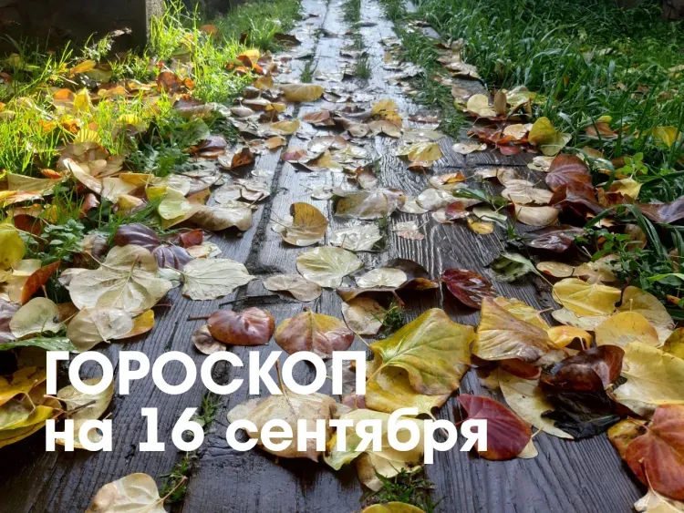 Овны должны проявить смелость 16 сентября