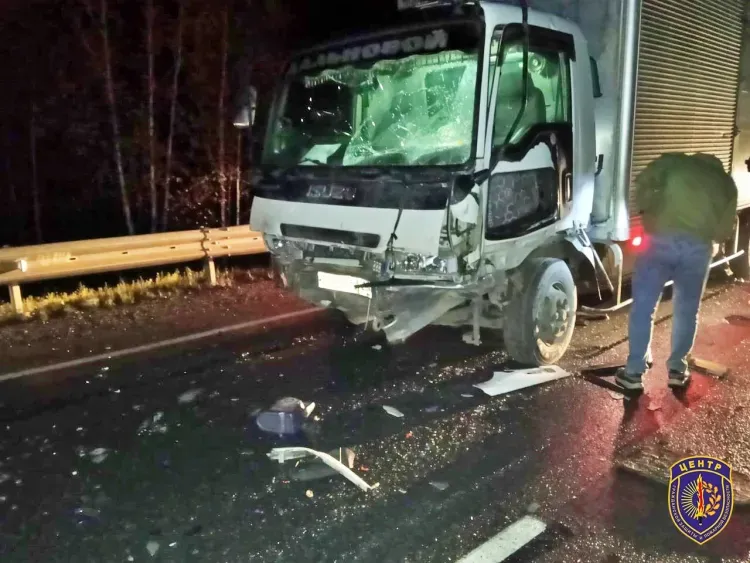 Водитель легкового автомобиля погиб в лобовом столкновении с грузовиком в Приамурье