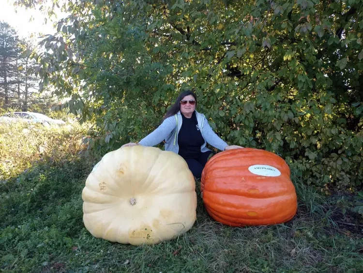 Рекорд побили на фестивале тыквы в Амурской области