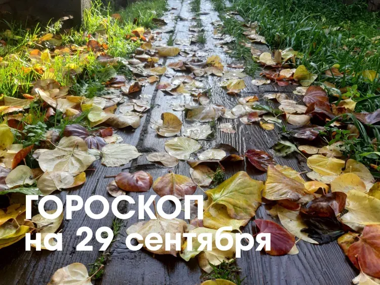 Легкие спортивные нагрузки подойдут Девам 29 сентября