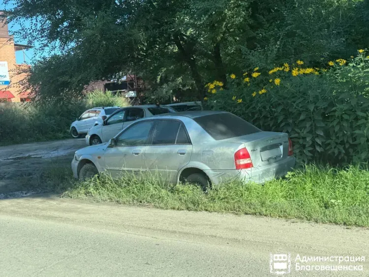 Парковка на газонах станет дорогим удовольствием для водителей